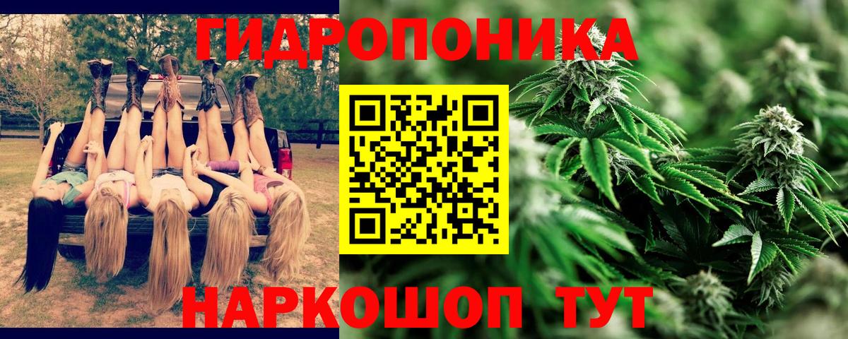 Бошки марихуана марихуана  Бошки Шишки гибрид  Вход с VPN  Жуковский  Бошки марихуана LSD WEED  Конопля LSD WEED 